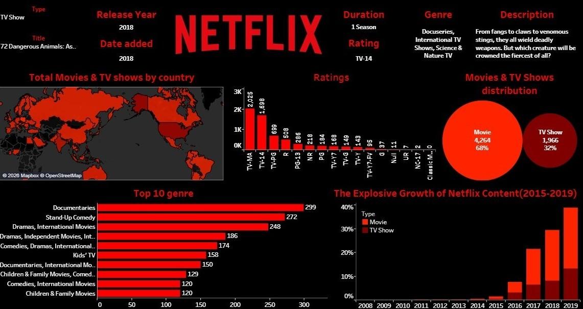 Explosive Growth of Netflix